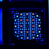 Fig 10-cerenkov