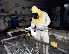 Photo related to the term with caption below